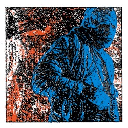 This Looks Like a Great Place to Lay My Eggs