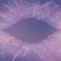 Music for Psychedelic Therapy