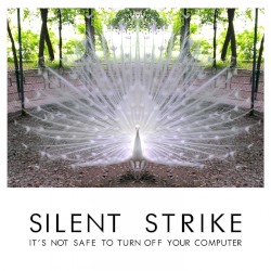 It's Not Safe to Turn Off Your Computer