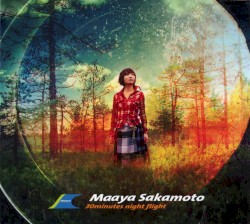 30minutes night flight