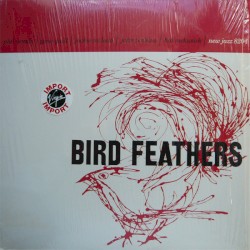 Bird Feathers
