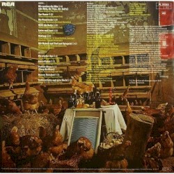 Torfrockball im Hühnerstall