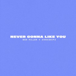 NEVER GONNA LIKE YOU