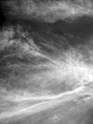 Journey Into the Everything in Nothingness