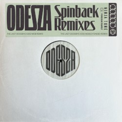 The Last Goodbye (Odd Mob remix)