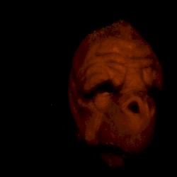 Working Title: Paracosmetic