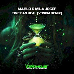 Time Can Heal (V3NOM Remix)