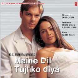 Maine Dil Tujhko Diya