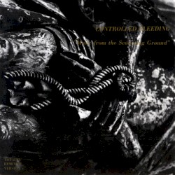 Music From the Scourging Ground