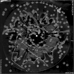 A Birth Marked Conspiracy