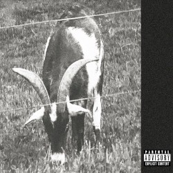 Goathead