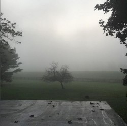 This Message Is Empty