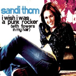 I Wish I Was a Punk Rocker (With Flowers in My Hair)