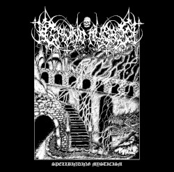 Spellbinding Mysticism