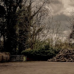 An Hour In Dark Walk Woods