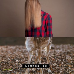 LINKED 03