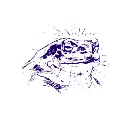 Bufo Alvarius, Amen 29:15