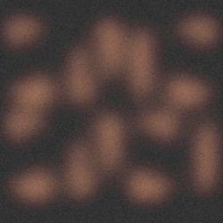 Soisong Broadcast #4