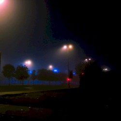 Foggy Night