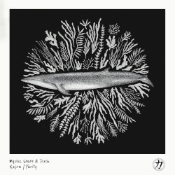 Kujira / Parity