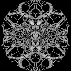 New State Of Consciousness Remixed