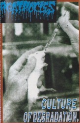 Culture of Degradation