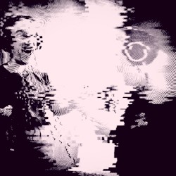 Shelter Me From the Rain