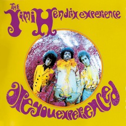 Are You Experienced