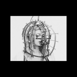 Walk With a Tumored Dog