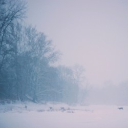 Winteridyll