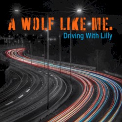 Driving With Lilly