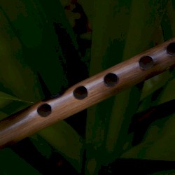 Free Flute