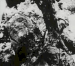 Begotten Chapter XIII (The End)