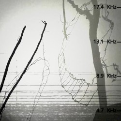 "SOMEWHERE" Installation Audio
