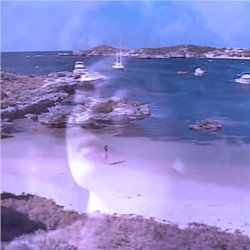 楽園の喜び