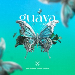 Guaya