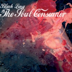 Mr Love Teeth (Afterlife remix)