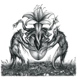 IV: Mandragora