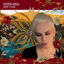 Deniz Yıldızı