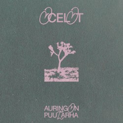 Auringon puutarha