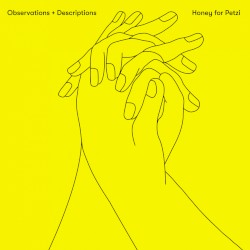 Observations + Descriptions