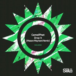 Drop It (Mason Maynard remix)