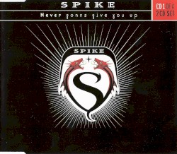 Never Gonna Give You Up