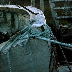 Taking Care (Remastered)