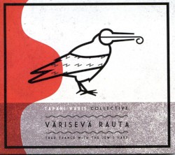 Varisevä rauta - Trad Trance with the Jew's Harp