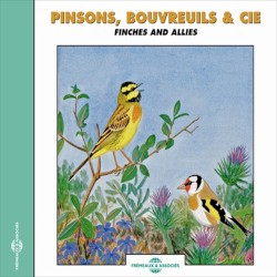 Pinsons, Bouvreuils & cie / Finches and Allies