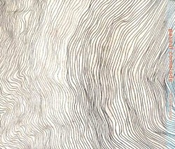 Música Pop (Danses De Catalunya Nord)