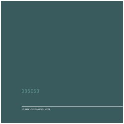 3B5C5D