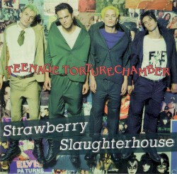 Teenage Torturechamber