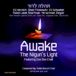 Awake the Nigun’s Light